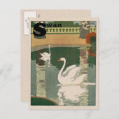 Carte Postale Alphabet cygne blanc (Devant / Derrière)