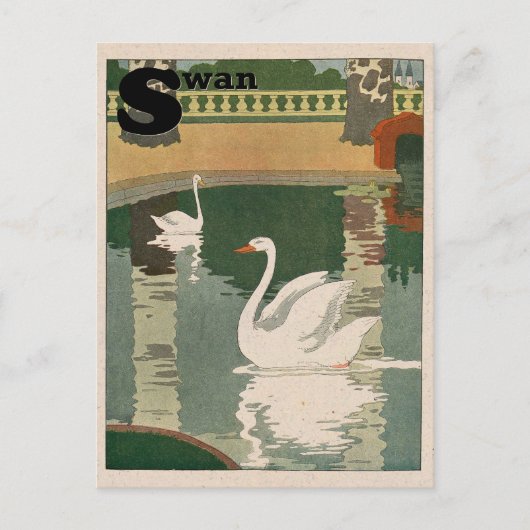 Carte Postale Alphabet cygne blanc (Devant)
