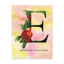 Alphabet de fleurs avec l'arrière - plan