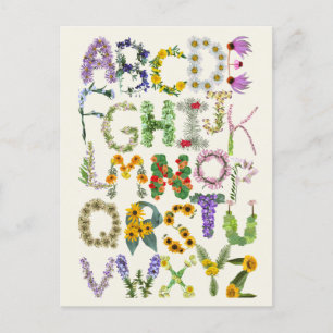 Carte Postale Alphabet de fleurs Enfants Retour à l'école Enseig