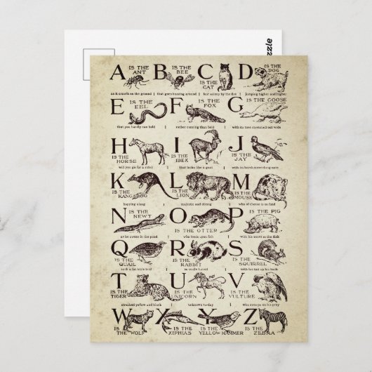 Carte Postale Alphabet Nursert Chart Vintage (Devant / Derrière)