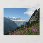 Carte Postale Alps (Devant)