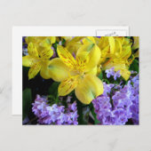 Carte postale Alstroemeria et Lilacs (Devant / Derrière)