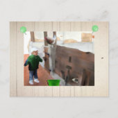 Carte Postale Alter Stall (Devant)