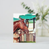 Carte Postale Alydar Thoroughbred 1979 (Debout devant)