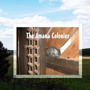 Carte Postale Amana Colonies, Centre de Visiteurs, Amana IA