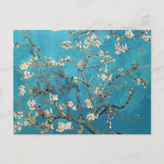 Carte Postale Amandier en fleurs Vincent van Gogh (Devant)