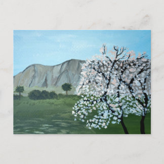 Carte Postale Amandiers en fleurs | Italie, Sicile | Montagne