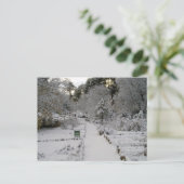 Carte Postale Amanecer Nevado (Debout devant)