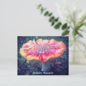 Carte Postale Amanita Muscaria (Debout devant)