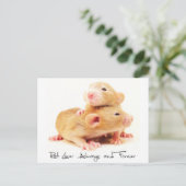 Carte Postale Amant de rat toujours et pour toujours (Debout devant)