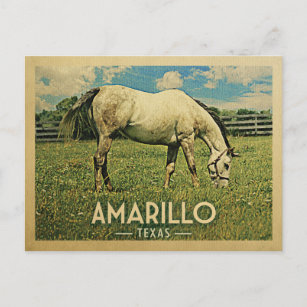 Carte Postale Amarillo Texas Horse Farm -Vintage voyage