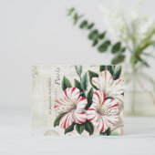 Carte Postale amarylis français vintage (Debout devant)