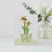 Carte postale Amaryllis (Debout devant)