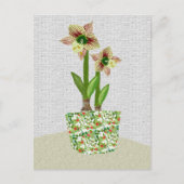 Carte postale Amaryllis (Devant)