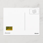 Carte Postale Amaryllis (Dos)