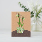 Carte postale Amaryllis (Debout devant)