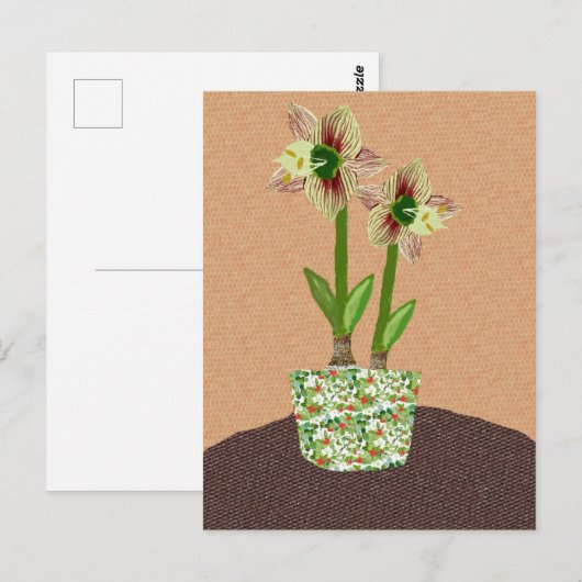 Carte postale Amaryllis (Devant / Derrière)