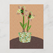 Carte postale Amaryllis (Devant)