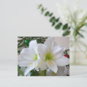 Carte Postale Amaryllis blanc et sapin de Noël (Debout devant)