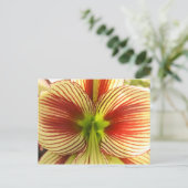 Carte Postale Amaryllis de papillon (Debout devant)