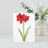 Carte Postale Amaryllis en rouge (Debout devant)