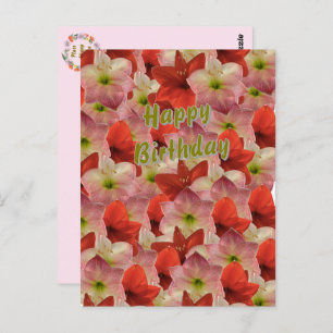 Carte postale Amaryllis Floral Anniversaire