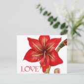 Carte postale Amaryllis Holiday (Debout devant)