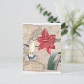 Carte Postale Amaryllis Mao Hummer (Debout devant)