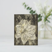 Carte Postale Amaryllis Old Time Sketch (Debout devant)