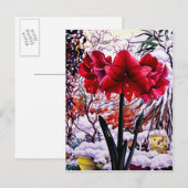 Carte Postale Amaryllis par la fenêtre de neige (Devant / Derrière)