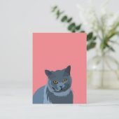 Carte Postale Amateur de chat gris bleu (Debout devant)