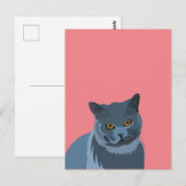 Carte Postale Amateur de chat gris bleu (Devant / Derrière)