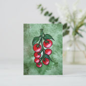 Carte Postale Amateur de Tomates (Debout devant)