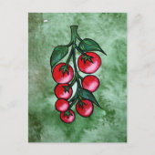 Carte Postale Amateur de Tomates (Devant)