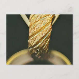 Carte Postale Amateur japonais de sushi