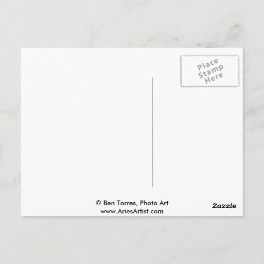 Carte Postale Amateurs (Dos)