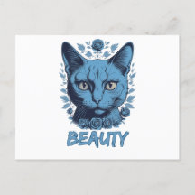 amateurs de chats beauté chats