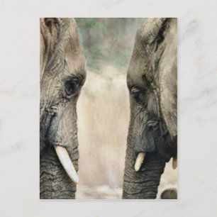 Carte Postale Amateurs d'éléphants Cadeaux d'art