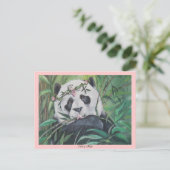 Carte Postale Amato (Debout devant)