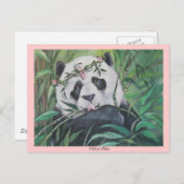 Carte Postale Amato (Devant / Derrière)