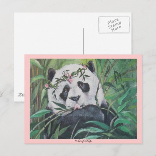 Carte Postale Amato (Devant / Derrière)