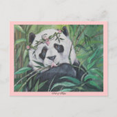 Carte Postale Amato (Devant)