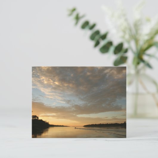 Carte postale Amazon Humane Society : Belle Amazon (Debout devant)