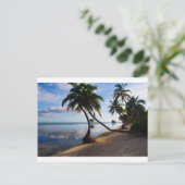 Carte Postale Ambergris Caye Belize (Debout devant)