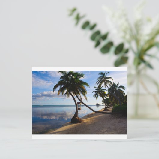 Carte Postale Ambergris Caye Belize (Debout devant)