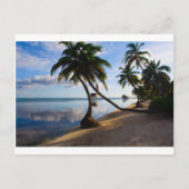 Carte Postale Ambergris Caye Belize (Devant)