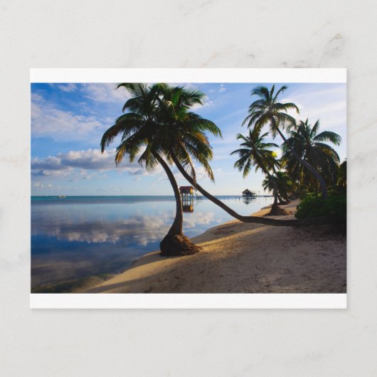 Carte Postale Ambergris Caye Belize (Devant)