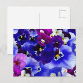 Carte Postale Ambiance florale (Devant / Derrière)