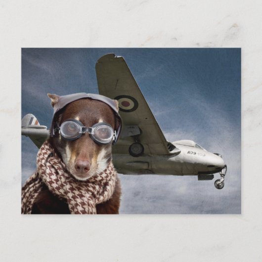 Carte Postale Amelia Earhart (Devant)